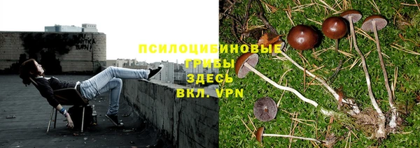 гидра Алексеевка
