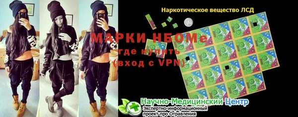 стаф Семилуки