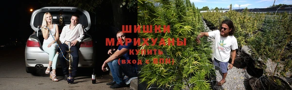 гидра Алексеевка